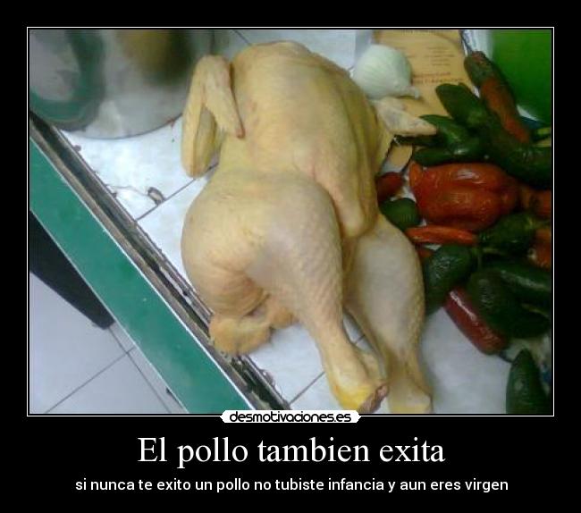 El pollo tambien exita - si nunca te exito un pollo no tubiste infancia y aun eres virgen