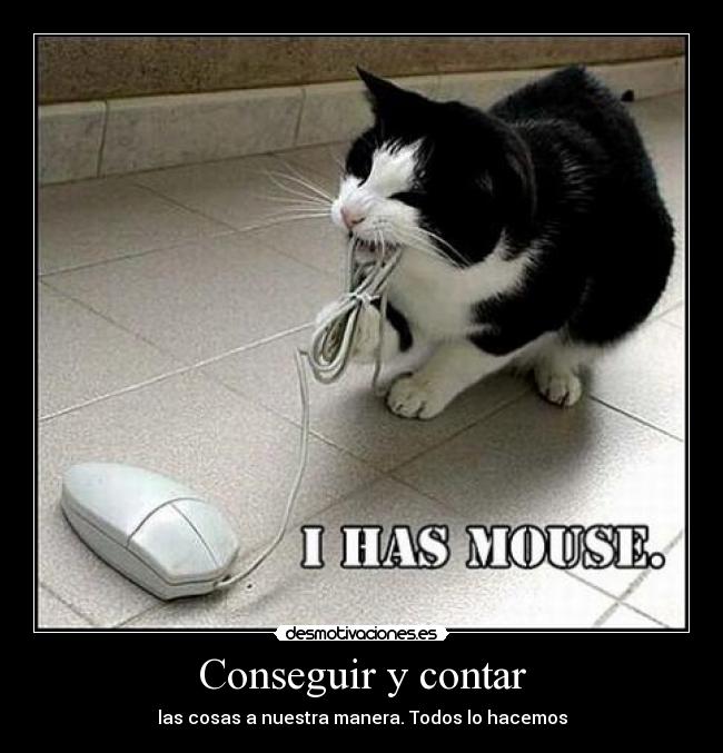 carteles tengo raton con cable desmotivaciones