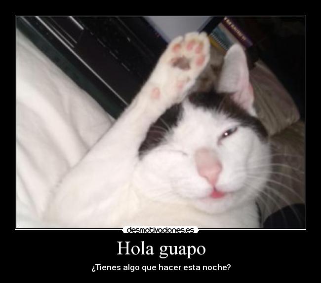 carteles raptorhunters gatosenano sexi ahi fondo portatil con stoy escribiendo esto desmotivaciones