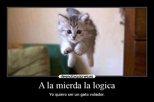 A la mierda la logica - Yo quiero ser un gato volador.