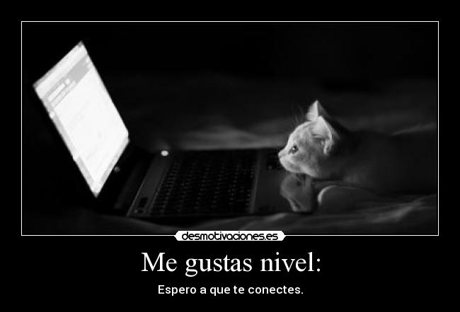 Me gustas nivel: - Espero a que te conectes.