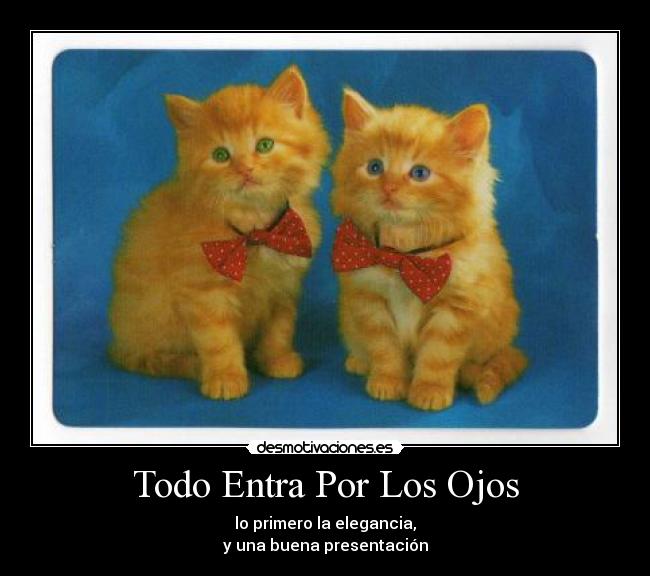 Todo Entra Por Los Ojos -