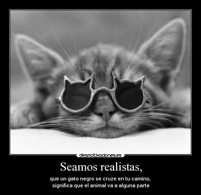 Seamos realistas, - que un gato negro se cruze en tu camino, 
significa que el animal va a alguna parte