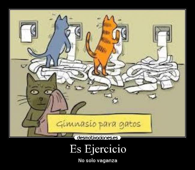 carteles gatos desmotivaciones