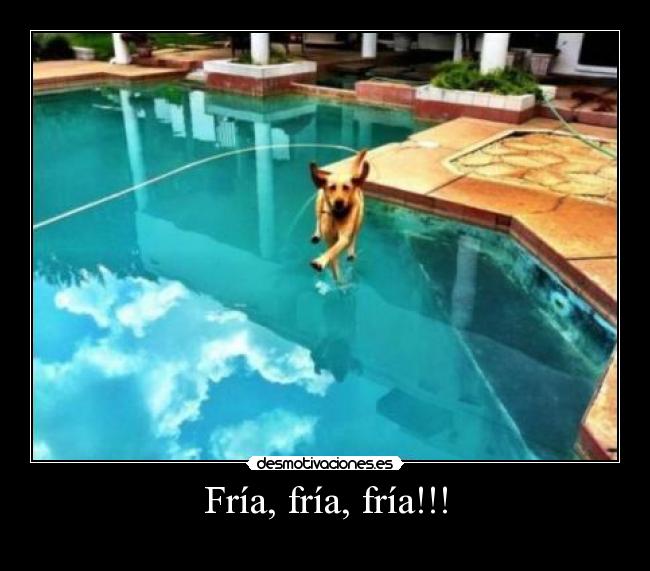 Fría, fría, fría!!! - 