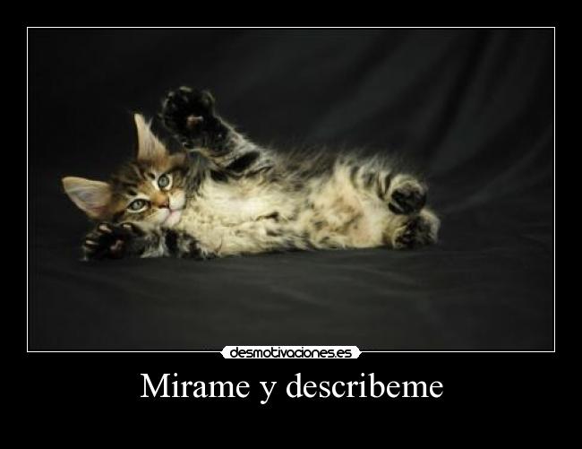 Mirame y describeme -
