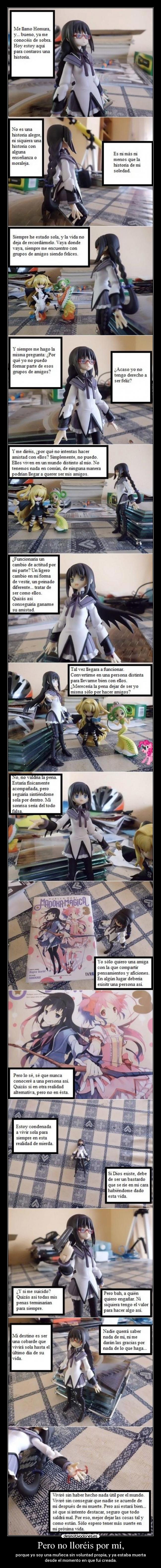 carteles 323 fight desmotivaciones