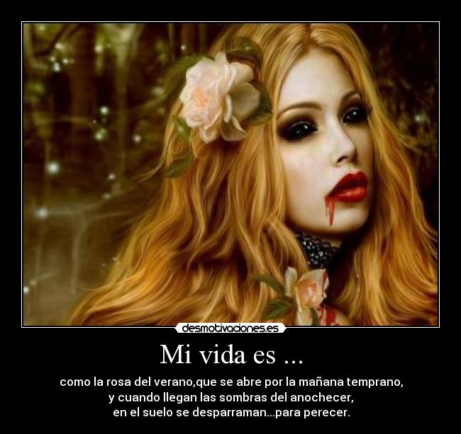 Mi vida es ... -