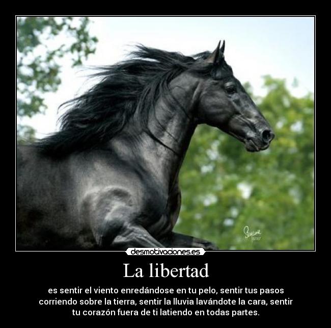 La libertad - es sentir el viento enredándose en tu pelo, sentir tus pasos
corriendo sobre la tierra, sentir la lluvia lavándote la cara, sentir
tu corazón fuera de ti latiendo en todas partes.