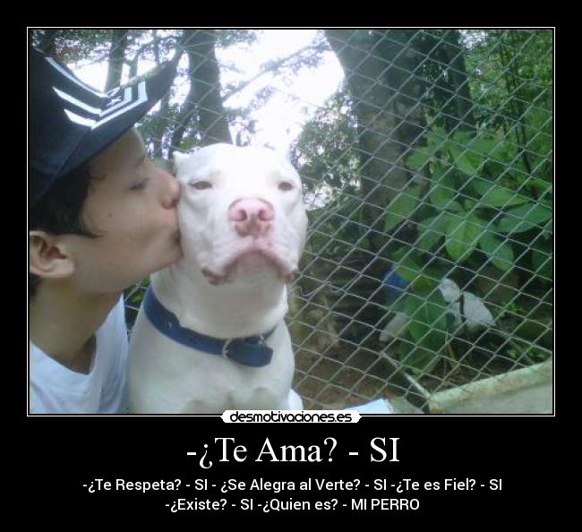 -¿Te Ama? - SI - 