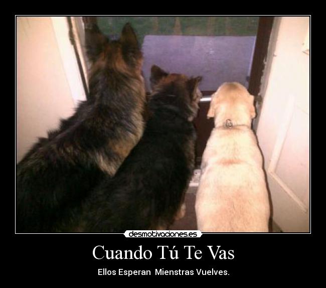 Cuando Tú Te Vas - Ellos Esperan  Mienstras Vuelves.