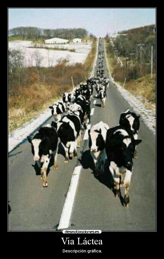 Via Láctea - Descripción gráfica.