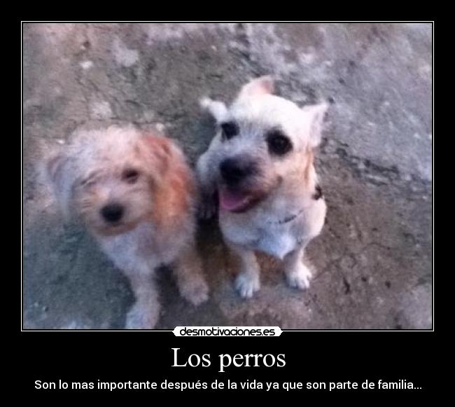 carteles arym1000 desmotivaciones