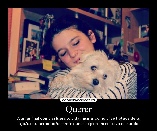 carteles miriamdd desmotivaciones