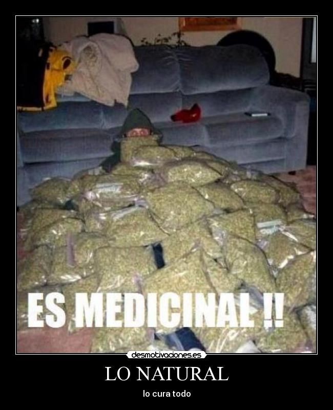 carteles fail risa verdad felicidad tonterias risa desmotivaciones