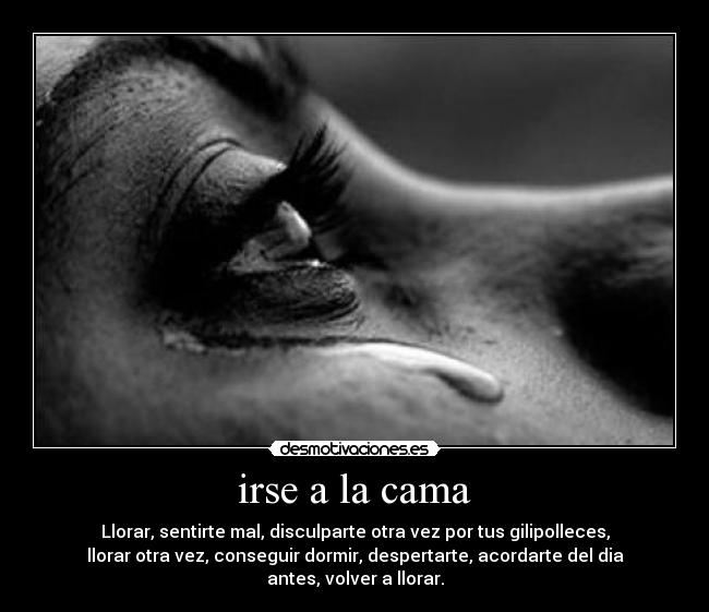 irse a la cama - Llorar, sentirte mal, disculparte otra vez por tus gilipolleces,
llorar otra vez, conseguir dormir, despertarte, acordarte del dia
antes, volver a llorar.