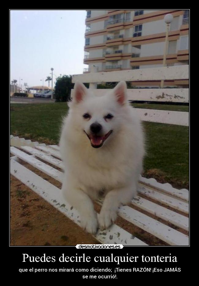 Puedes decirle cualquier tonteria -