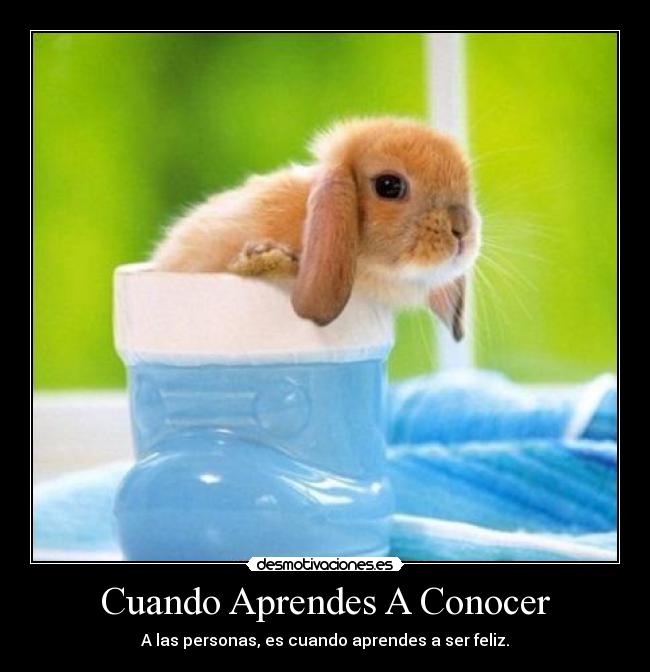 Cuando Aprendes A Conocer - A las personas, es cuando aprendes a ser feliz.