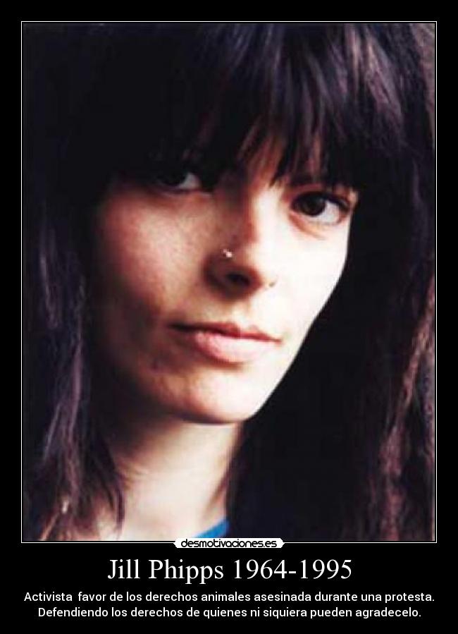 Jill Phipps 1964-1995 - 