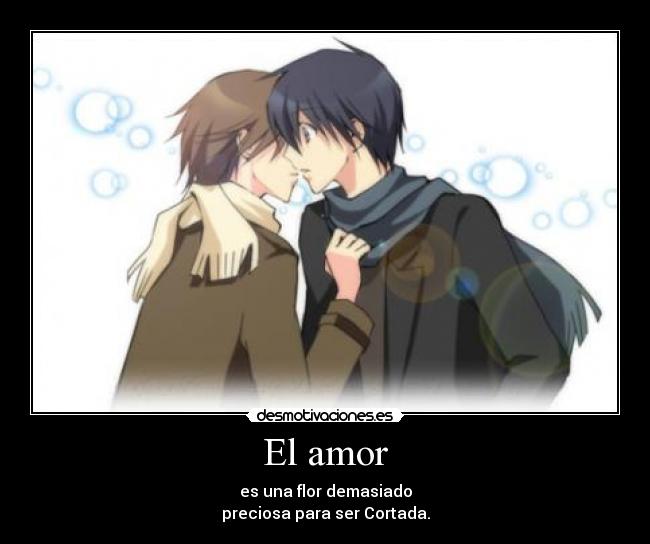 El amor -