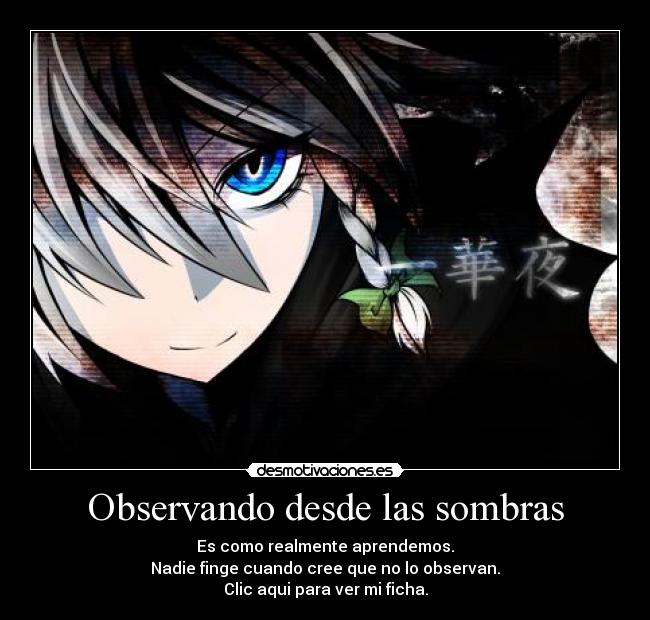 Observando desde las sombras -