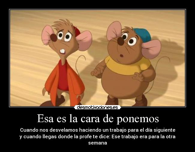 Esa es la cara de ponemos - Cuando nos desvelamos haciendo un trabajo para el día siguiente
y cuando llegas donde la profe te dice: Ese trabajo era para la otra semana