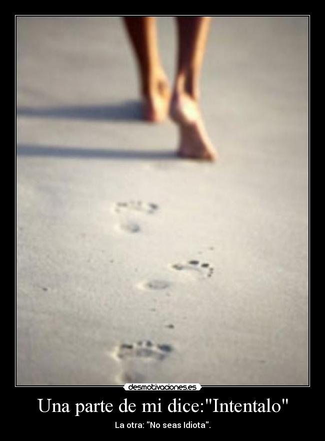 Una parte de mi dice:Intentalo - La otra: No seas Idiota.
