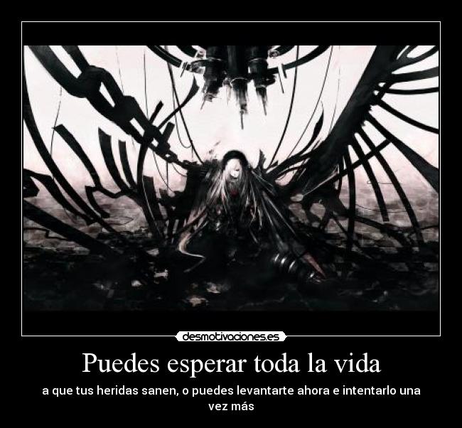 Puedes esperar toda la vida - a que tus heridas sanen, o puedes levantarte ahora e intentarlo una vez más