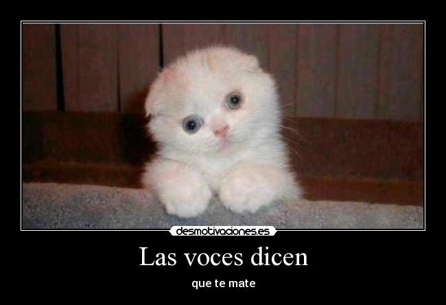 Las voces dicen - que te mate