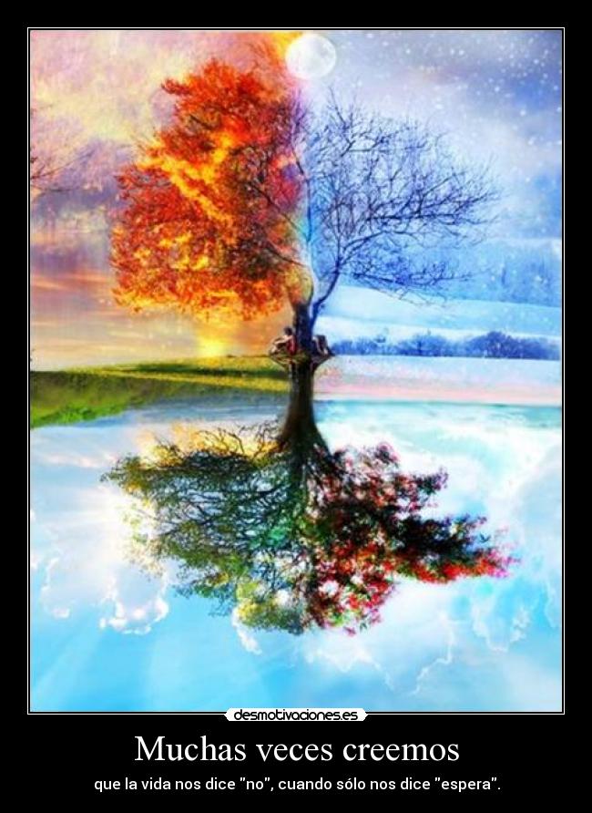 Muchas veces creemos - 