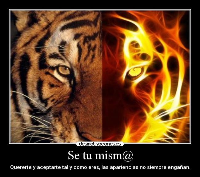 carteles tigre autentico valor aceptacion desmotivaciones