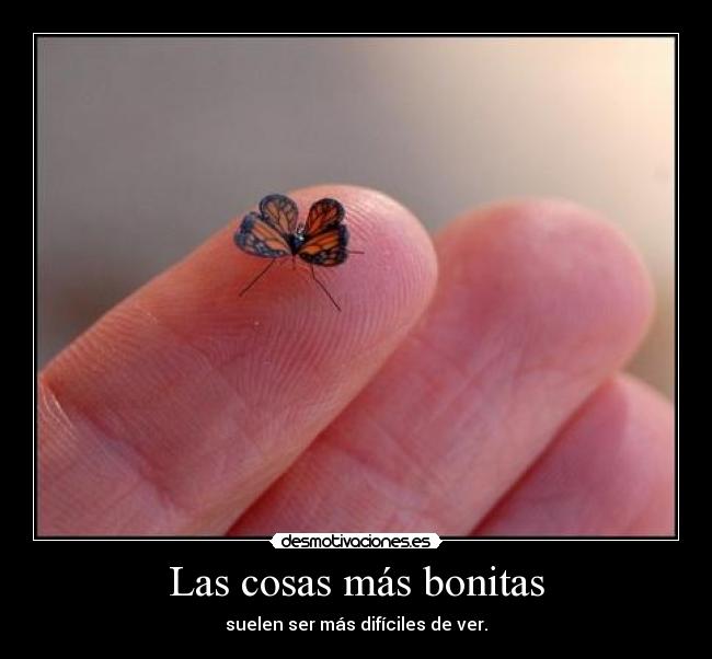 Las cosas más bonitas -