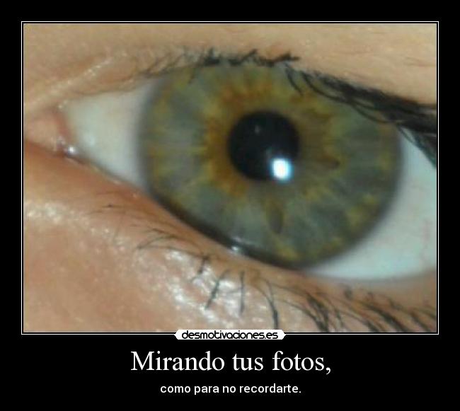 Mirando tus fotos, - como para no recordarte.