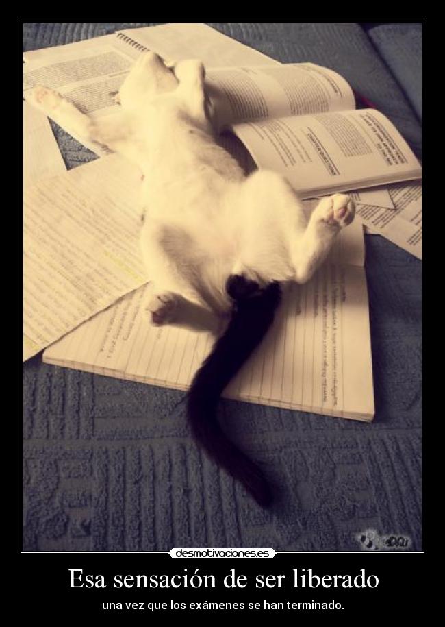 carteles rumpelstiltskin clanbloodlovers examenes reprobados mientan desmotivaciones