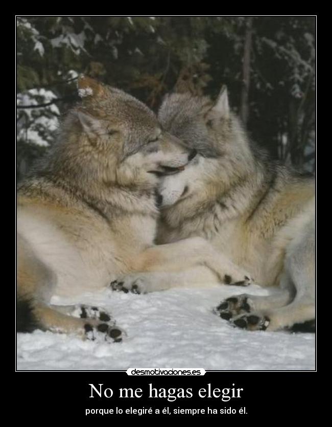 No me hagas elegir - 