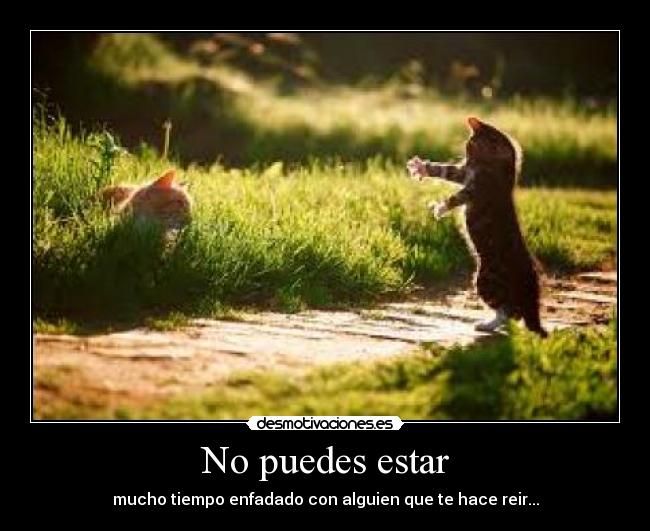 No puedes estar -