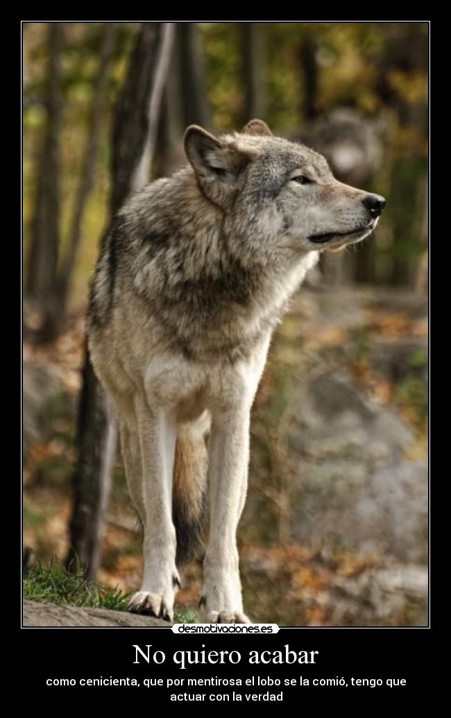 carteles malaquita desmotivaciones