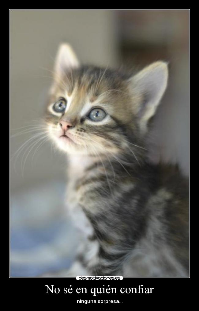 No sé en quién confiar -