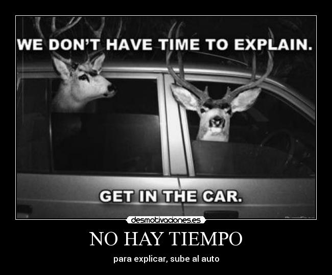 carteles venados auto gracioso tiempo explicar desmotivaciones