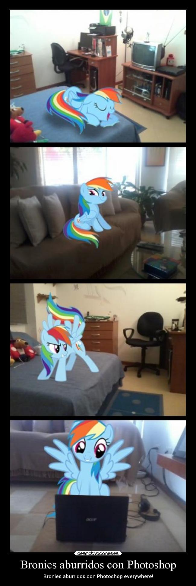 Bronies aburridos con Photoshop - Bronies aburridos con Photoshop everywhere!