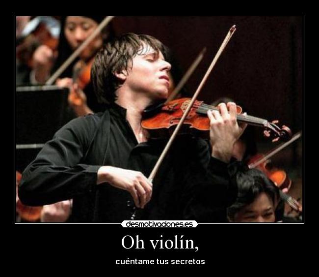 Oh violín, -