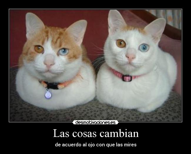Las cosas cambian - de acuerdo al ojo con que las mires