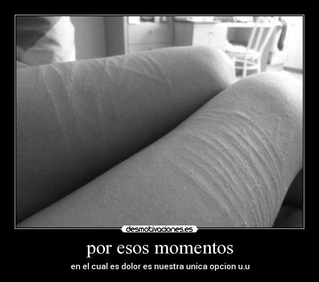 carteles darix desmotivaciones