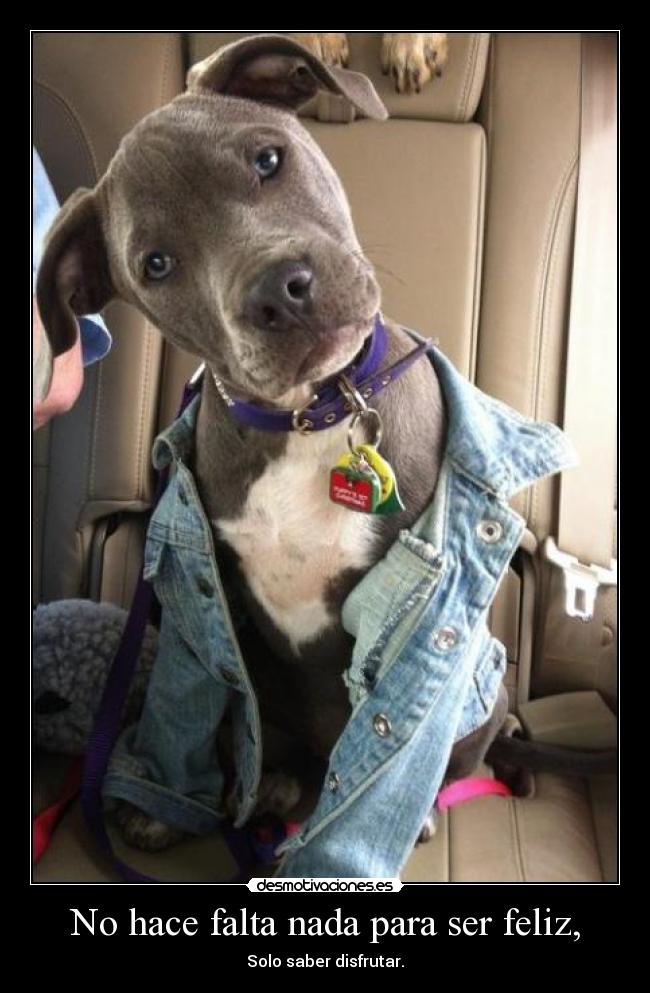 No hace falta nada para ser feliz, - Solo saber disfrutar.