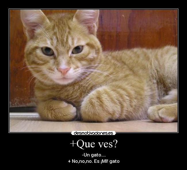 +Que ves? - -Un gato....
+ No,no,no. Es ¡MI! gato