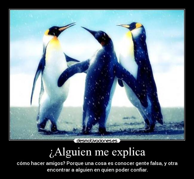 ¿Alguien me explica - cómo hacer amigos? Porque una cosa es conocer gente falsa, y otra
encontrar a alguien en quien poder confiar.