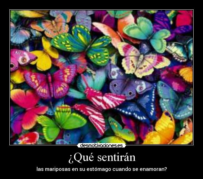 carteles madylacasitos desmotivaciones