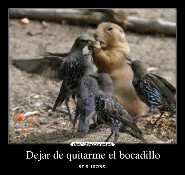 carteles ardillas desmotivaciones