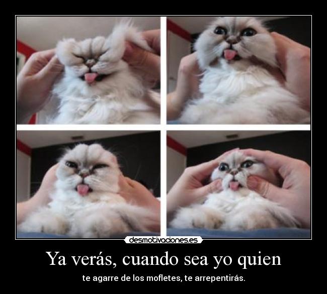 carteles gatosmofletes cosas que nos gustaban pequenos creo que nos hicieran ahora tampoco desmotivaciones