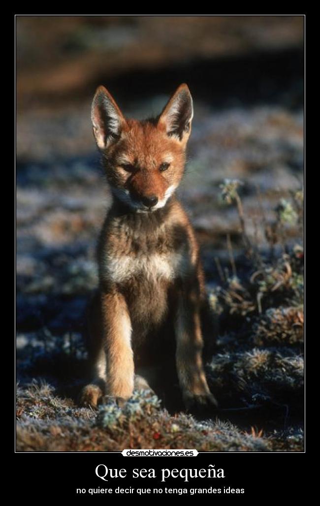 carteles malaquita desmotivaciones